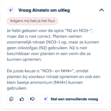 Oefeningen-van-feedback-voorzien-en-nakijken - image